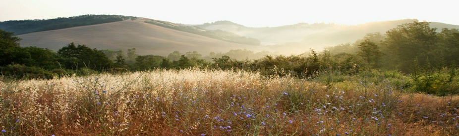 Rivendale Bed and Breakfast (b & b) accommodation near Liskeard & Bodmin Moor, in South-East Cornwall